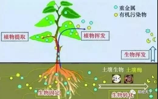 广东筑境生态园林有限公司