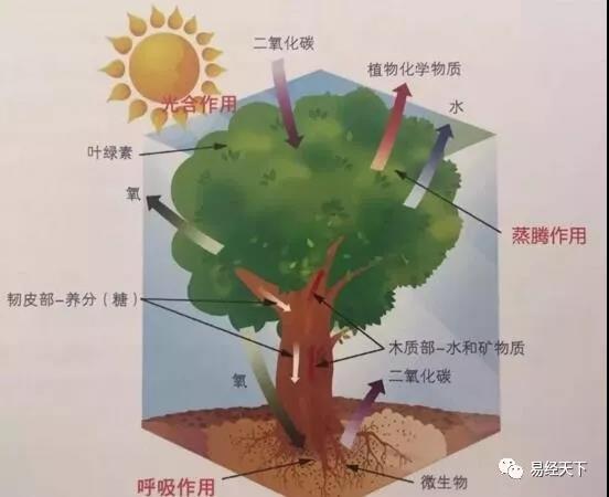 广东筑境生态园林有限公司