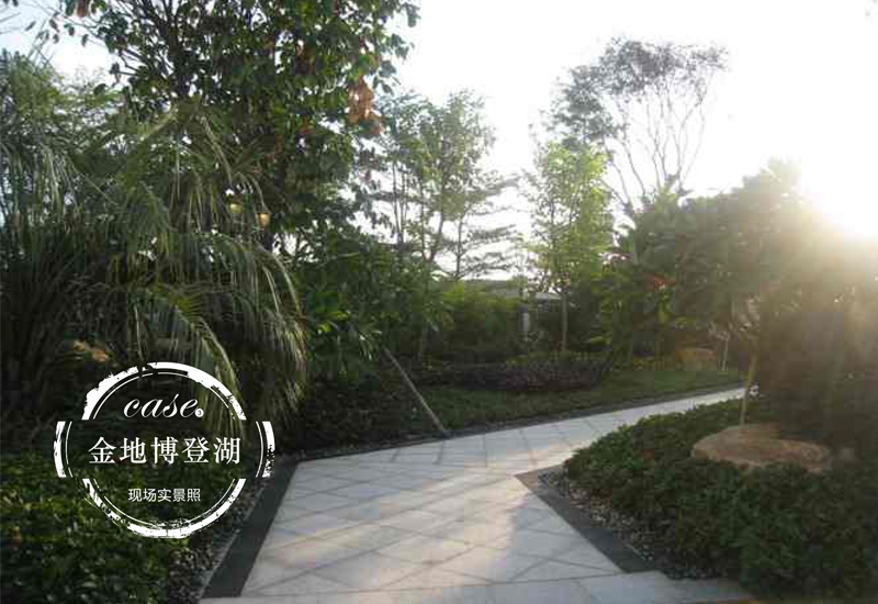 展示图片2