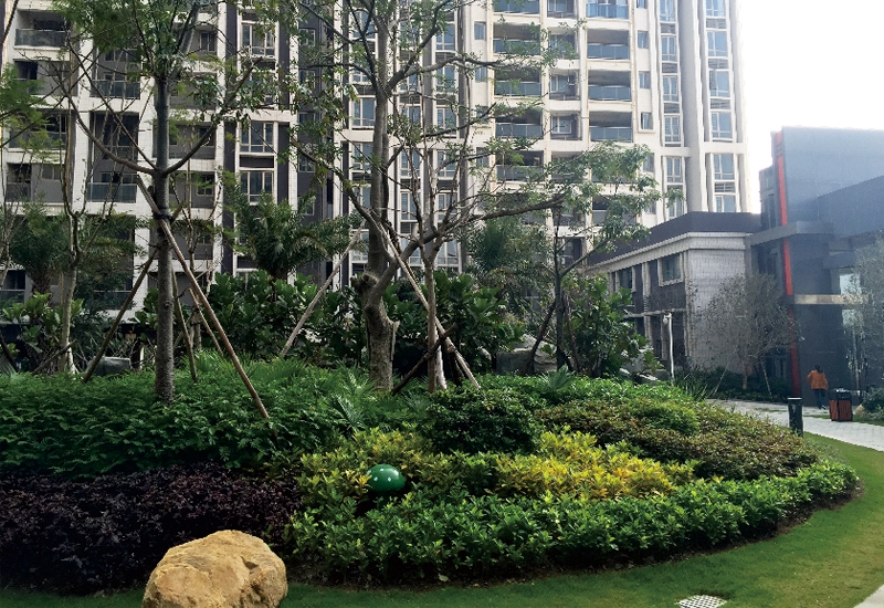 展示图片5