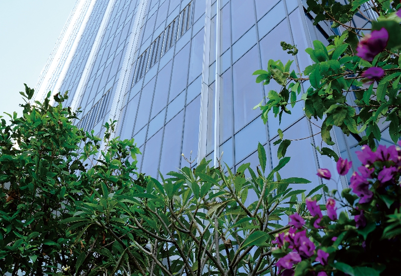 展示图片3