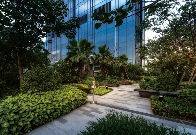 展示图片10